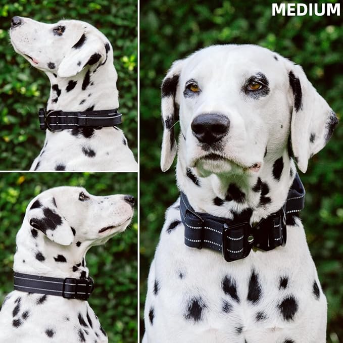 Tuff Pupper Tactical Dog Collar with Handle | Heavy Duty Adjustable Dog Collar | Military Nylon Collar for Medium Dogs | Quick-Release Buckle | Soft Padded Comfort | Training Control (Black, Medium)