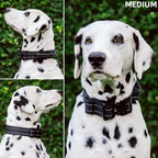 Tuff Pupper Tactical Dog Collar with Handle | Heavy Duty Adjustable Dog Collar | Military Nylon Collar for Medium Dogs | Quick-Release Buckle | Soft Padded Comfort | Training Control (Black, Medium)