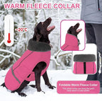 Doglay Dog Coat, Waterproof Dog Jacket Pet Winter Coat for Cold Weather with Thicken Furry Collar, Reflective Puppy Winter Jacket Warm Fleece Lining for Small Medium Large Pets