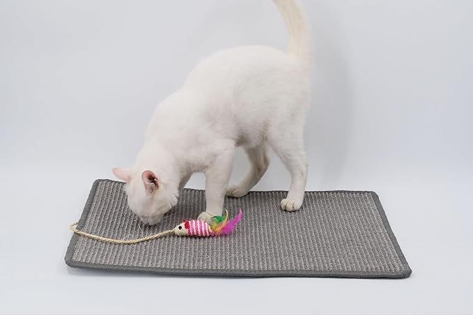Cat Scratcher mat- Natural Sisal Cat Mat with Anti-Slip Back & Attached Sisal Mouse Toy (Gray)