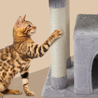 FISH&NAP Cute Cat Tree Kitten Cat Tower for Indoor Cat Condo Sisal Scratching Posts with Jump Platform Cat Furniture Activity Center Play House Grey