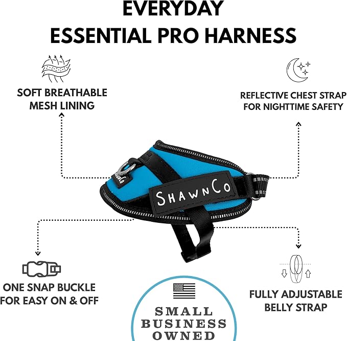 ShawnCo Essential Pro Dog Harness, No-Pull Pet Vest with 3 Leash Clips and Removable, Reflective Side Patches, Adjustable and Padded Harness for Small, Medium and Large Dogs (Oceanic Blue, XS)