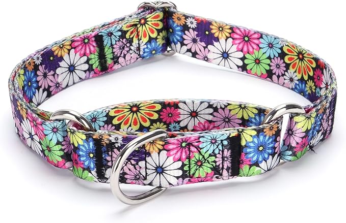 Martingale Dog Collars - Flower Multicolor Cute Patterns, Adjustable Nylon Training Dog Collar Suitable for Boy and Girl Dogs Medium Large Dogs (L, White4)