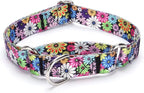 Martingale Dog Collars - Flower Multicolor Cute Patterns, Adjustable Nylon Training Dog Collar Suitable for Boy and Girl Dogs Medium Large Dogs (M, White4)