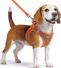 Eagloo Small Dog Harness and Leash Set, Step in Puppy Vest with Breathable Soft Mesh, Walking Reflective Pet Harness for Small Dogs, Orange, M