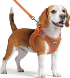 Eagloo Small Dog Harness and Leash Set, Step in Puppy Vest with Breathable Soft Mesh, Walking Reflective Pet Harness for Small Dogs, Orange, M