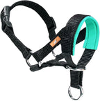 Dog Head Collar with Soft Fabric, Head Harness Stops Dog Pulling, Head Leash for Small Medium Large Dogs Walking (M, Green)