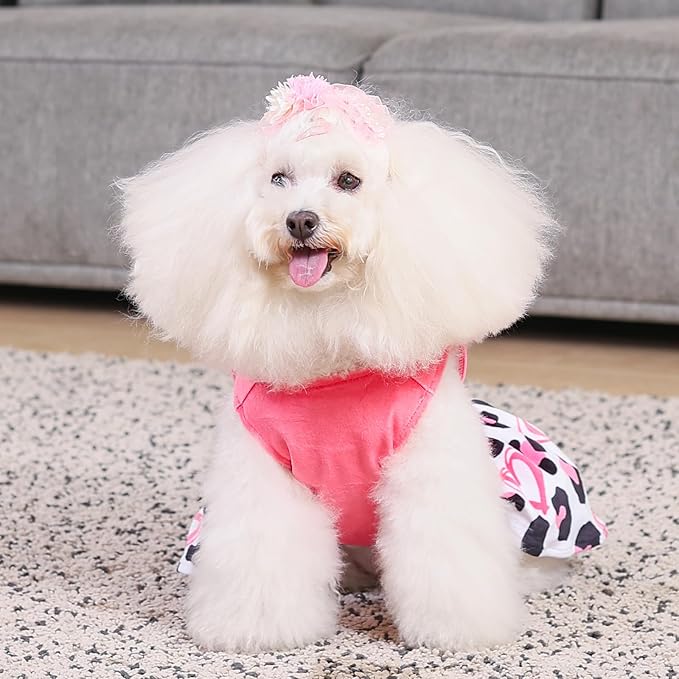 CuteBone Dog Dresses Velvet Mama's Girl Small Dogs Clothes Onesie Pet Apparel Girl Puppy Skirt with Bow Hair Rope CVA40S-D
