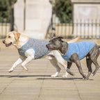 KYEESE 2Pack Dog Shirt, Lightweight Sun Protection Sleeveless Dog T Shirts for Large Dogs Boy, Breathable Pet Reflective Tank Top Summer Dogs Clothes for Outdoor Walking, Grey+Light Blue, 3XL