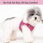 Petank Dog Harness for Small Medium Dogs No Pull, Puppy Harness and Leash Set for Walking, Running, Training, Small Dog Harness, Medium Dog Harness (Rose Red, S)