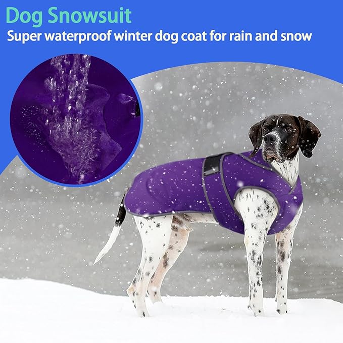 MIGOHI Reflective Dog Coat, Waterproof Winter Jacket, Fleece Lined, Small, Purple