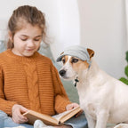 Dog Baseball Cap, Dog Cat Summer Beach Visor Hat with Ear Holes, Adjustable Puppy Sunbonnet Headdress (Grey, X-Large)