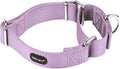 Mikivery Martingale Dog Collar Nylon Adjustable and Safety Training Metal Buckle Dogs Collars for Small Medium and Large Breed(Violet,L)