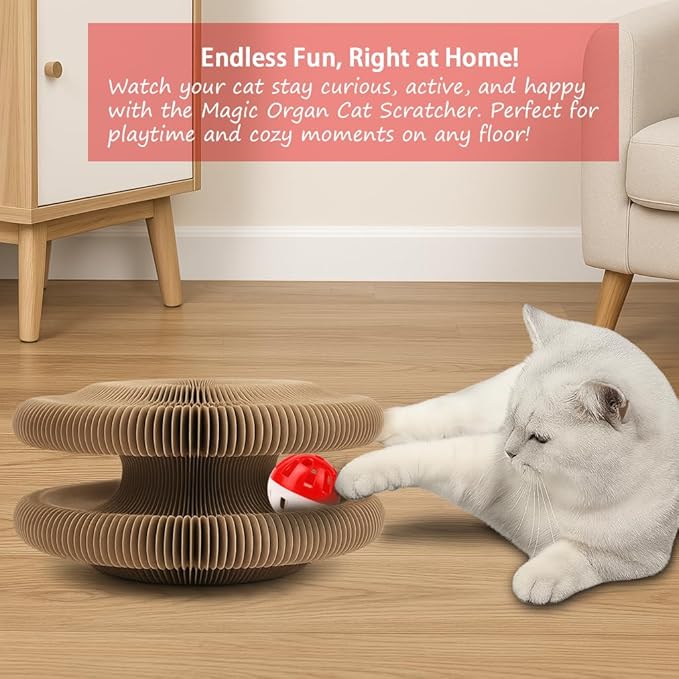 Magic Organ Cat Scratcher Board with Ball – Interactive Kitty Toy for Mental & Physical Exercise