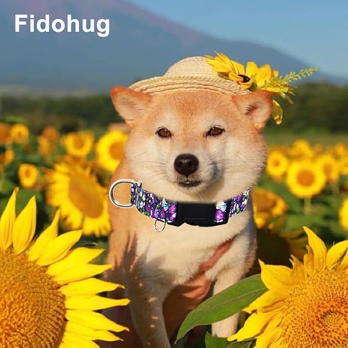 Martingale Collar for Dogs with Buckle Floral No Pull Training Dog Collars (Purple Floral, XSmall)