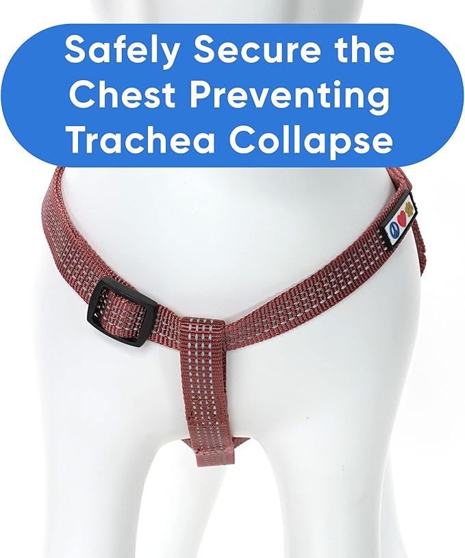 Pawtitas Reflective Step-in Dog Harness – Adjustable No-Pull Vest for Puppies to Seniors, Safe & Comfortable, S Marsala