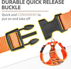 PUPTECK Halloween Small Dog Harness and Leash Set, No Pull Adjustable Puppy Cat Harness, Reflective Soft Mesh Pet Vest Small Sized, Pumpkin, M