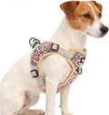 PUPTECK No Pull Dog Harness Small Sized Dog, Adjustable Reflective Escape Proof Easy Control, Comfortable Soft Padded Step in Pet Vest Harness, Brown Leopard, S