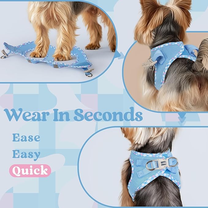 rabbitgoo Small Dog Harness, Step-in Soft Mesh Puppy Vest with Safety Buckle, Breathable Reflective Pet Harness for Small Sized Dogs, Blue & Plaid Trim XS
