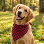 Dog Bandanas 1 Pack; Cotton Linen Red Bandana Plaid for Large Dogs; Soft Breathable Dog Accessories; Valentines Dog Bandana
