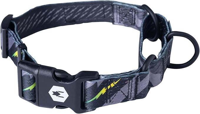 Wolfgang Heavy Duty Martingale Dog Collar with Quick Release Nylon Buckle for Walking & Training, DarkSkies Print, Medium