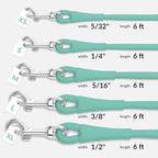 CollarDirect Rolled Leather Dog Leash 6ft, Soft Training Leather Dog Leash for Puppy and Grown Dog Small Medium Large Black Blue Red Orange Green Pink White (Mint Green, Size S 6ft)