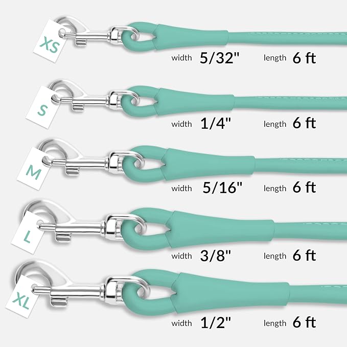 CollarDirect Rolled Leather Dog Leash 4ft, Soft Padded Training Leather Dog Lead 6ft, Puppy Leash Rolled Leather Small Medium Large Black Blue Red Orange Green Pink White (Mint Green, Size XL 6ft)
