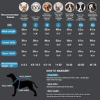 ASENKU Dog Winter Coat - Waterproof Windproof Dog Jacket, Warm Snowproof Doggie Puffer Vest for Cold Weather, Lightweight Snow Coats for Small Medium Large Dogs (XS, Blue)