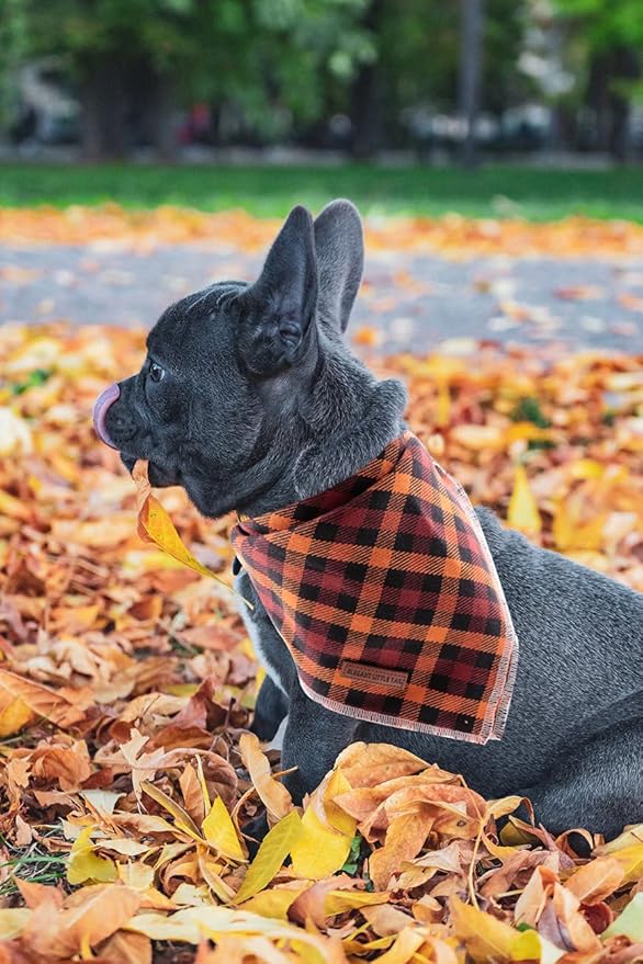 Elegant little tail Dog Bandanas - 1Pack Washable Fall Dog Scarf Girl or Boy Square Bib Kerchief Scarf Adjustable Pet Bandana for Small Medium Dogs
