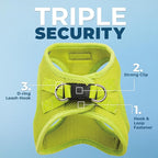 Best Pet Supplies Voyager Step-in Air All Weather Mesh Harness and Reflective Dog 5 ft Leash Combo with Neoprene Handle, for Small, Medium and Large Breed Puppies - Set (Lime Green), M