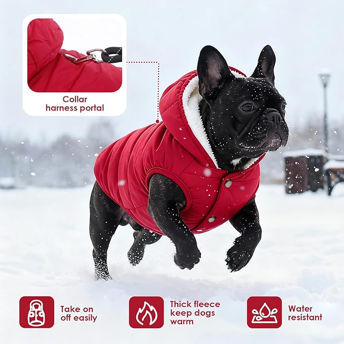 Fleece Hoodie, Windproof Waterproof Coat, Winter Warm Jacket for Dogs - Cold Weather Pet Apparel Clothes Vest for Small Medium Large (2XL, Red)