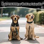 Martingale Dog Collar, Reflective No Pull Training Collar with Quick Release Buckle, Adjustable Heavy Duty Nylon Choker Collars for Small Medium Large Dogs(S,Black)