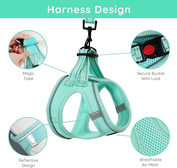 BELLA & PAL Step in Vest Harness for Small and Medium Dogs, No Pull Small Dog Harness with Leash Set, Comfortable Air Mesh Dog Vest Harness with Reflective Strip (Light Green, L)