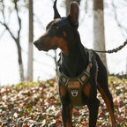 BUMBIN Tactical Dog Harness for Large Dogs, No Pull, Reflective, Green, L(Neck:19-25", Chest:21-35")