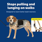 PetSafe Easy Walk Harness for Dogs - Pull-Free Walks - Patented Martingale Loop Design - Front Chest Leash Attachment - Comfort Straps - Breathable Harness Design - Small/Medium, Fawn/Brown