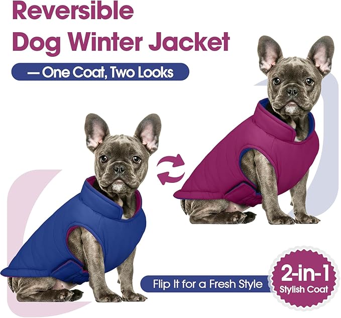 QBLEEV Reversible Dog Winter Coat, Waterproof Windproof Dog Jacket with Adjustable Fit & Leash Hole, Lightweight Warm Puffer Vest for Large Breeds, Purple, 2XL – Fits Labrador, Husky, Weimaraner