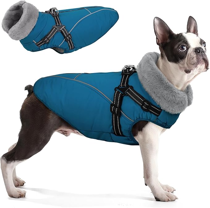Queenmore Dog Jackets for Large Dogs,Dog Coat with Harness Built in,Dog Coats for Large Dogs,Waterproof Doggy Coat with Zipper On Back,Warm Fleece Lining Cold Pet Coats with Furry Collar,Blue,XL