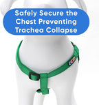 Pawtitas Solid Step-in Dog Harness – Adjustable No-Pull Vest for Puppies to Seniors, Safe & Comfortable S Lush Green
