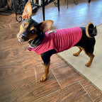 Gooby Fleece Vest Dog Sweater - Fuchsia, Large - Warm Pullover Fleece Dog Jacket with O-Ring Leash for Small to Medium Dogs