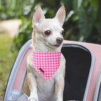 Summer Dog Bandana, UP URARA PUP Pink Bandana for Small Large Dogs, Cotton Handkerchief Fashion Plaid Puppy Triangle Bid Scarf for Boy Girl Dogs