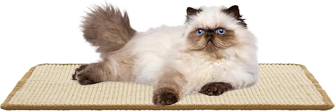 SAFAVIEH Cat Scratch Mat Pad Collection, 16" x 24", Beige, Sisal & Jute Boucle Weave, Velcro & Slip Resistant Backing