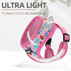 PUPTECK Soft Mesh Dog Harness and Leash Set Pet Puppy Cat Comfort Padded Vest No Pull Harnesses, Pink Floral, XS