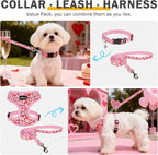 SCENEREAL Valentine's Day No Pull Dog Harness Collar Leash Set for Small Sized Dogs, Soft Mesh Plaid Harnesses for Fall Winter, Adjustable Pet Vest for Outdoor Walking Training and Running, S
