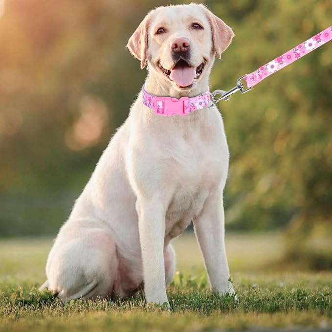 Dog Collar with Leash Airtag Holder Case Set - Dog Collars for Male Female Boy Girl Puppy X-Small Small Medium Large Dogs Walking Running Training - Pink Daisy/S