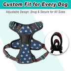 BARKBAY Dog Harness No Pull Mesh for Small Dogs - Adjustable, Reflective, Comfortable, No Choke, Heavy-Duty - Perfect for Outdoor Training, Walking, and Hiking - Strong & Durable - S & Blue Star Mesh