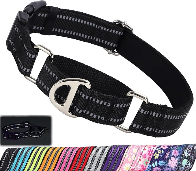 Martingale Collar for Dogs - Reflective Nylon, No Slip Choke Heavy Duty Collar with Quick Release Buckle- Safe Fit for Training & Walking Black S