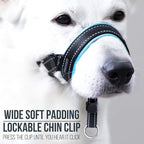 GoodBoy Dog Head Halter with Safety Strap - Stops Heavy Pulling On The Leash - Padded Headcollar for Small Medium and Large Dog Sizes - Head Collar Training Guide Included (Size 4, Blue)