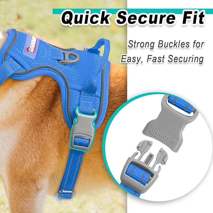 BARKBAY Dog Harness No Pull Mesh for Small Dogs - Adjustable, Reflective, Comfortable, No Choke, Heavy-Duty - Perfect for Outdoor Training, Walking, and Hiking - Strong & Durable - S & Blue Mesh