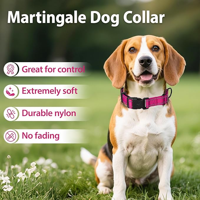 Martingale Collar for Dogs with Quick Release Buckle, Reflective Soft Padded & Escape Proof, Adjustable Nylon Dog Collars for Training & Daily Walking (Hotpink,M)