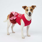 Fitwarm Cuter Than Cupid Dog Tulle Dress, Cute Girl Dog Clothes, Funny Pet Apparel, Burgundy Red, Small